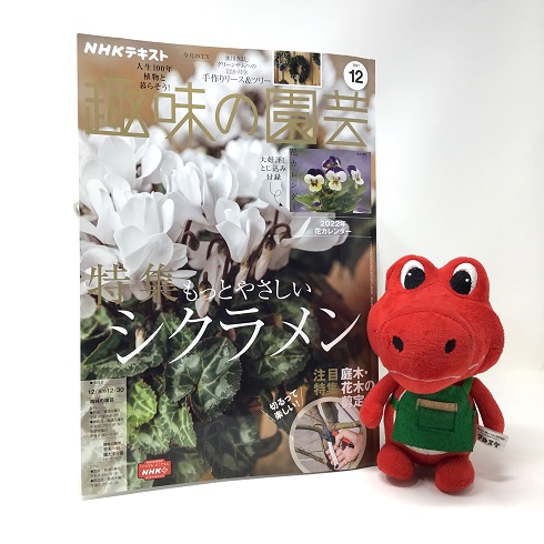 【メディア掲載情報】NHK出版「趣味の園芸」2021年12月号