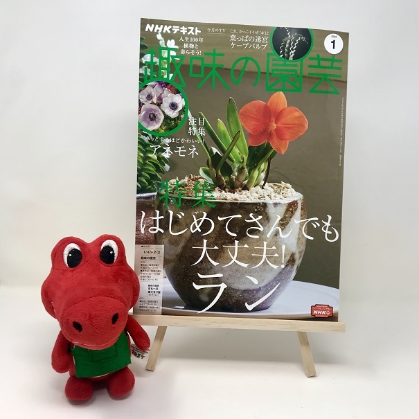 【メディア掲載情報】NHK出版「趣味の園芸」2022年1月号