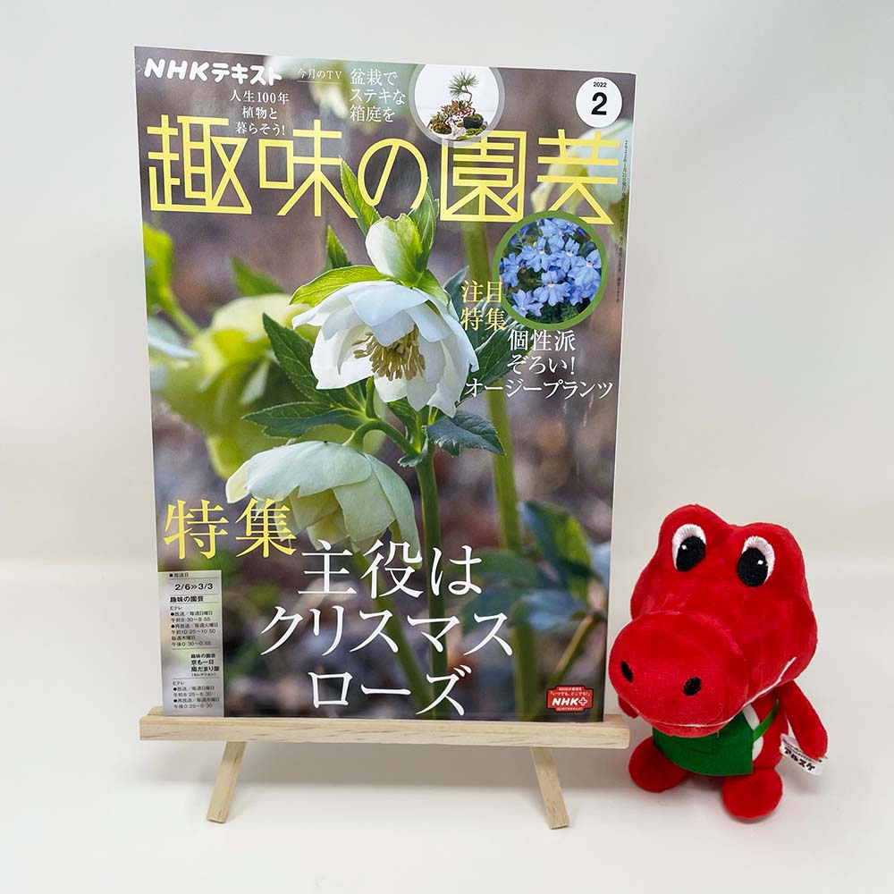 【メディア掲載情報】NHK出版「趣味の園芸」2022年2月号
