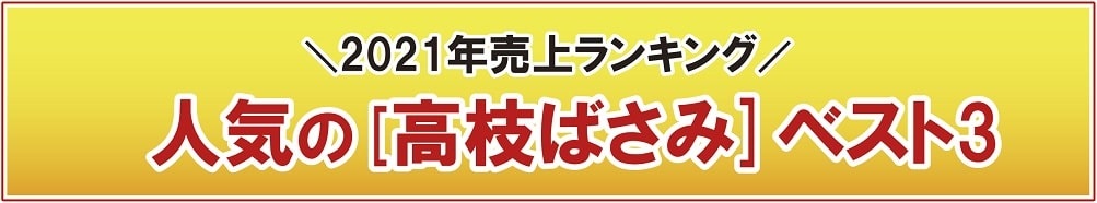 人気の高枝切りばさみベスト3