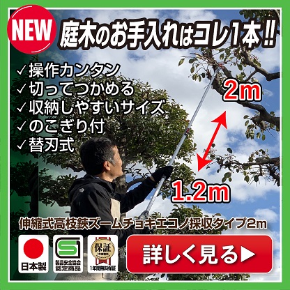 【新発売】軽くて使いやすい国産高枝切りばさみ「伸縮式高枝鋏ズームチョキエコノ採収2.0ｍ」本日発売！