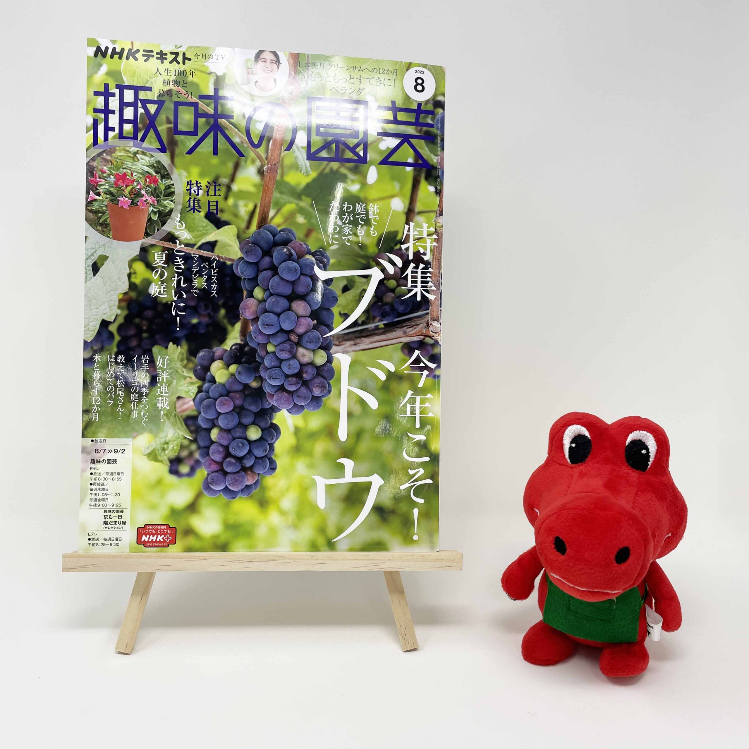 【メディア掲載情報】NHK出版「趣味の園芸」2022年8月号