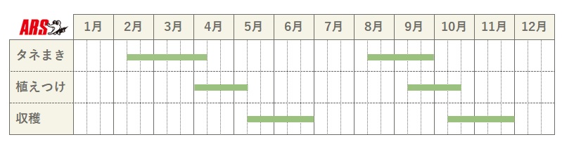 レタスの栽培カレンダー（温暖地）