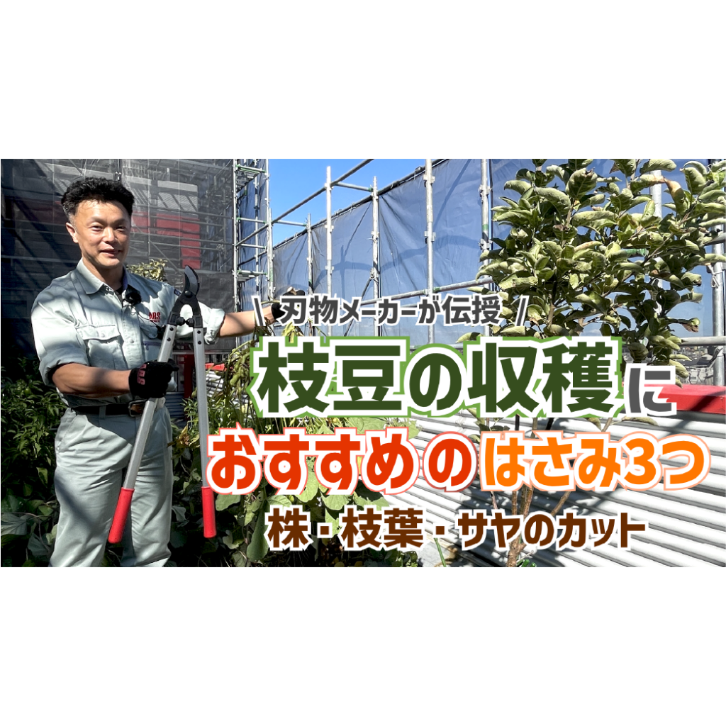 枝豆の収穫におすすめのハサミ3つ 動画で解説！