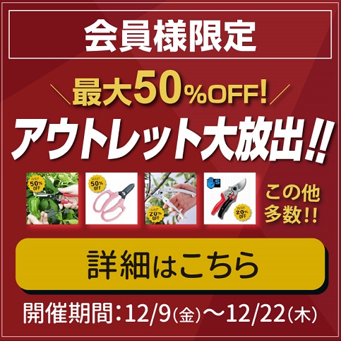 会員様限定！ 歳末アウトレット大放出キャンペーンのお知らせ