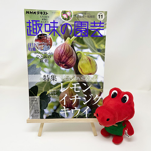 【メディア掲載情報】NHK出版「趣味の園芸」2022年11月号