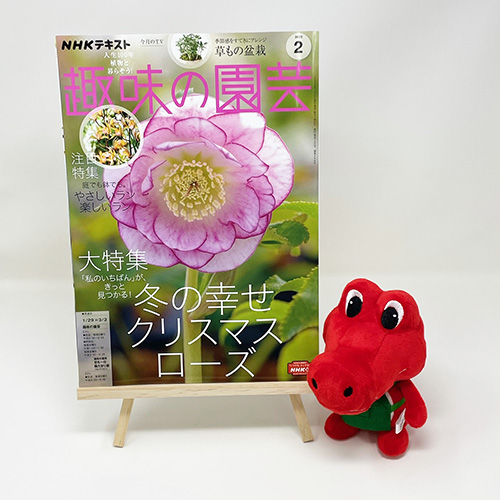 【メディア掲載情報】NHK出版「趣味の園芸」2023年2月号