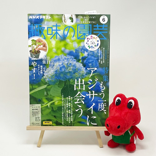 【メディア掲載情報】NHK出版「趣味の園芸」2023年6月号