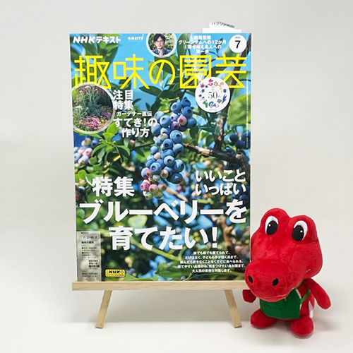 【メディア掲載情報】NHK出版「趣味の園芸」2023年7月号