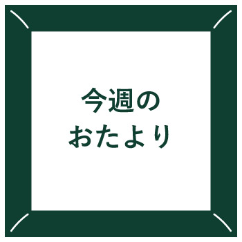 アンビル剪定鋏の「アンビル」とは？抜群の切れ味の秘密をお届けします！～ただいま大感謝祭開催中！～