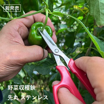 野菜農家さんのための収穫鋏ついに発売。農家さんに優しい工夫がたっぷり詰まったこだわりのハサミです。