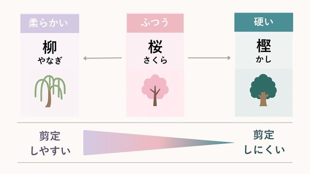 枝の剪定難易度