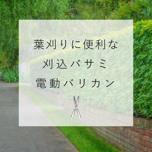 生垣の剪定シーズン！ 葉刈りに便利な刈込バサミ、電動バリカンをご紹介します