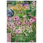 趣味の園芸2025年11月号