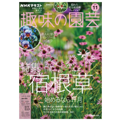 【メディア掲載情報】NHK出版「趣味の園芸」2025年11月号