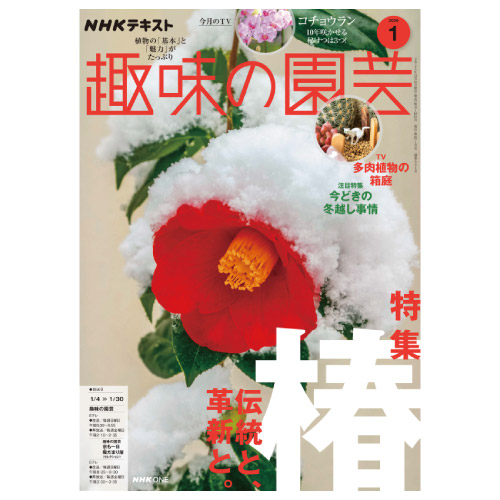 【メディア掲載情報】NHK出版「趣味の園芸」2026年1月号