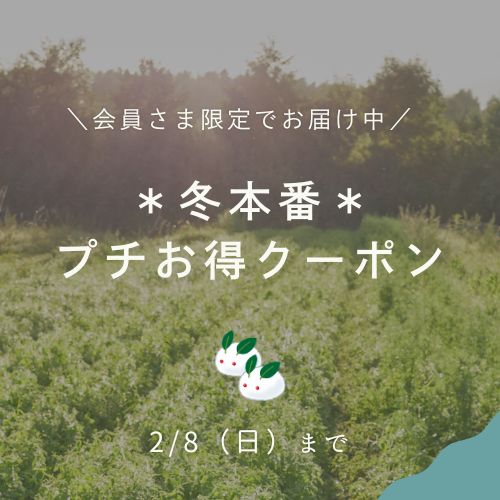 〈会員限定〉冬本番プチお得クーポン