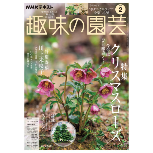 【メディア掲載情報】NHK出版「趣味の園芸」2026年2月号