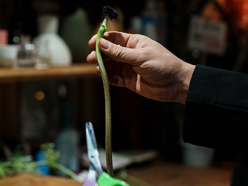 山﨑亮さんのコンテンポラリーボタニカルアートとハサミ