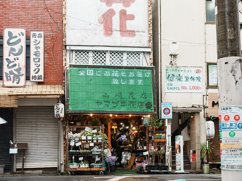 山﨑亮さんのコンテンポラリーボタニカルアートとハサミ