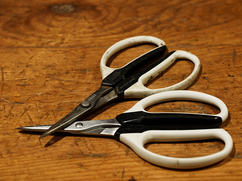 山﨑亮さんのコンテンポラリーボタニカルアートとハサミ