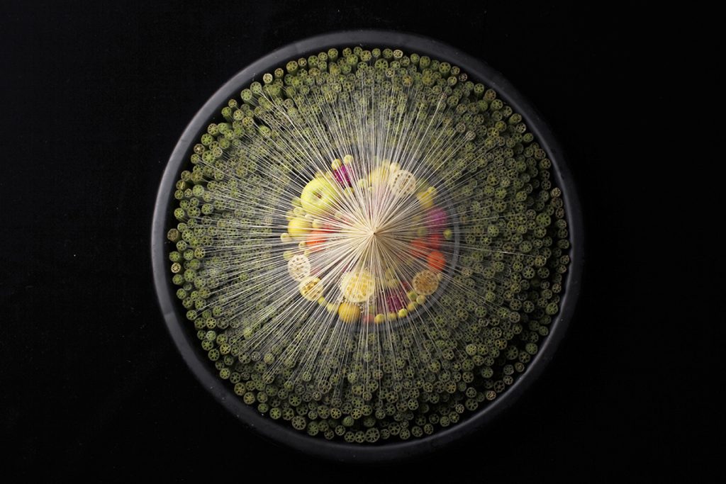 山﨑亮さんのコンテンポラリーボタニカルアートとハサミ