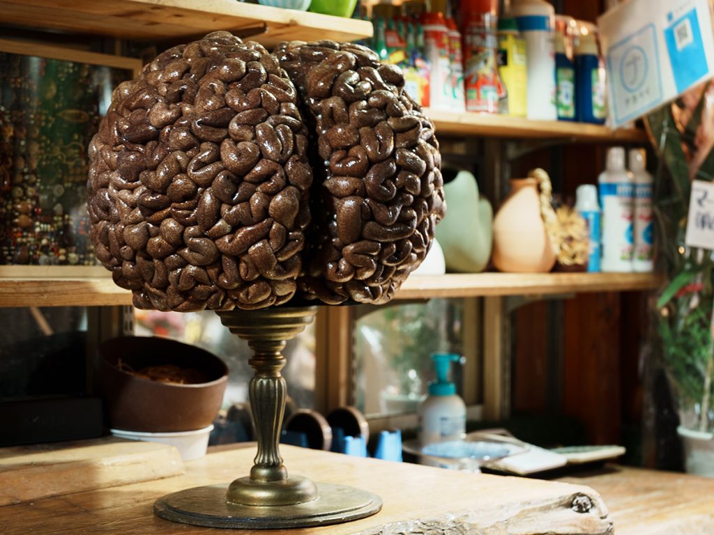 山﨑亮さんのコンテンポラリーボタニカルアートとハサミ