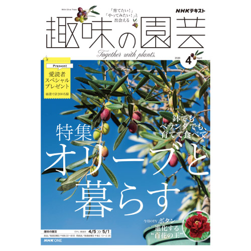 【メディア掲載情報】NHK出版「趣味の園芸」2026年4月号