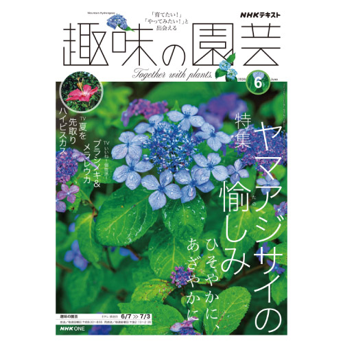 【メディア掲載情報】NHK出版「趣味の園芸」2026年6月号