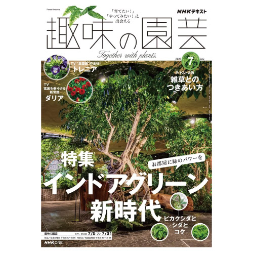 【メディア掲載情報】NHK出版「趣味の園芸」2026年7月号