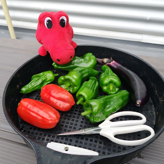＼夏の家庭菜園におすすめ／園芸刃物ランキング
