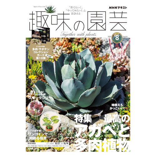 【メディア掲載情報】NHK出版「趣味の園芸」2026年8月号