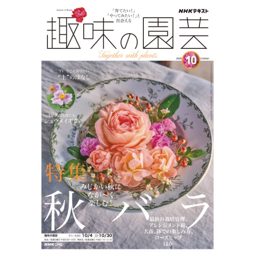 【メディア掲載情報】NHK出版「趣味の園芸」2026年10月号