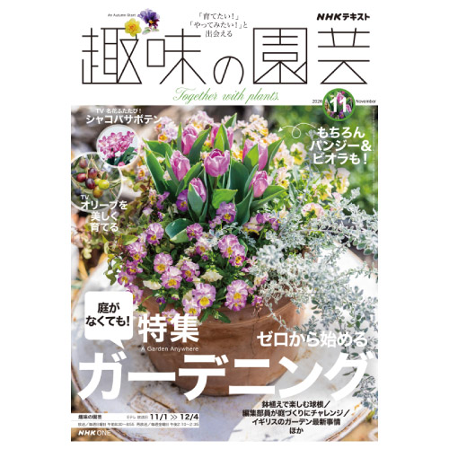 【メディア掲載情報】NHK出版「趣味の園芸」2026年11月号